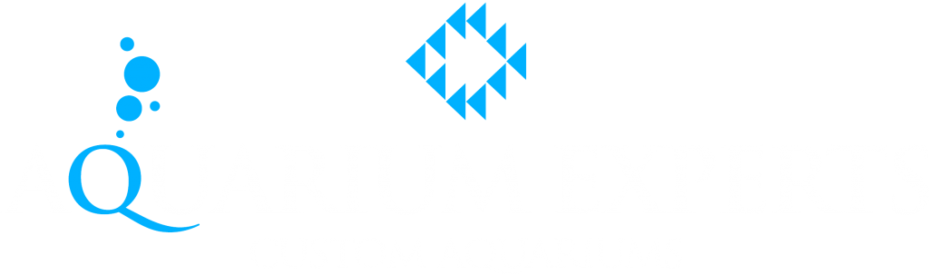 Aquarium Experts