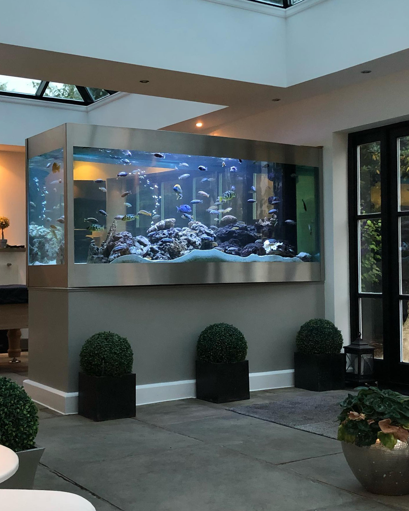 Bespoke Aquarium Design & Installation