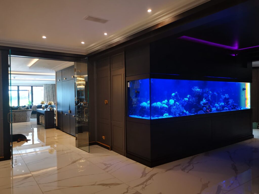 Aquarium Installers