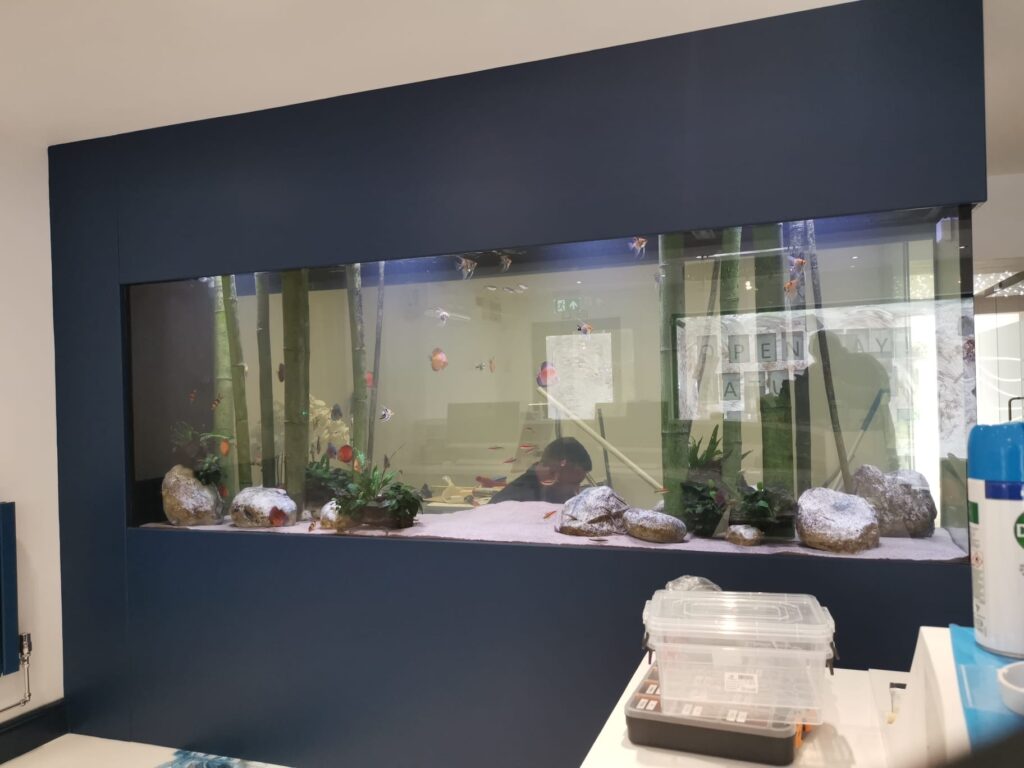 aquarium builders