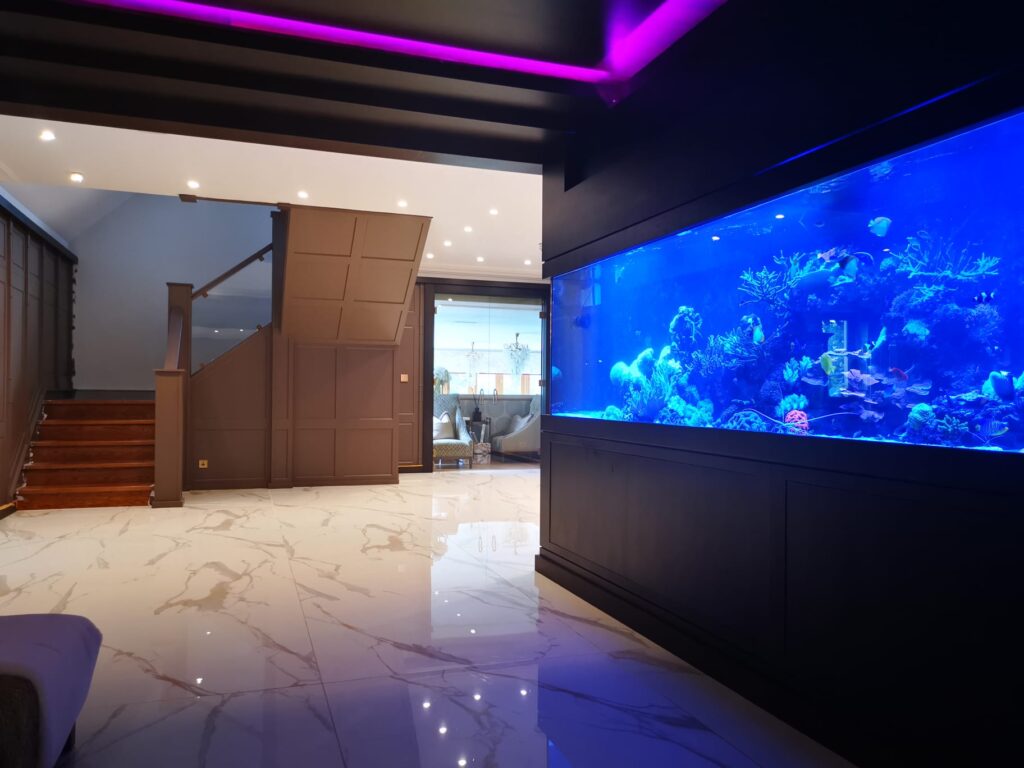 Aquarium design and installation