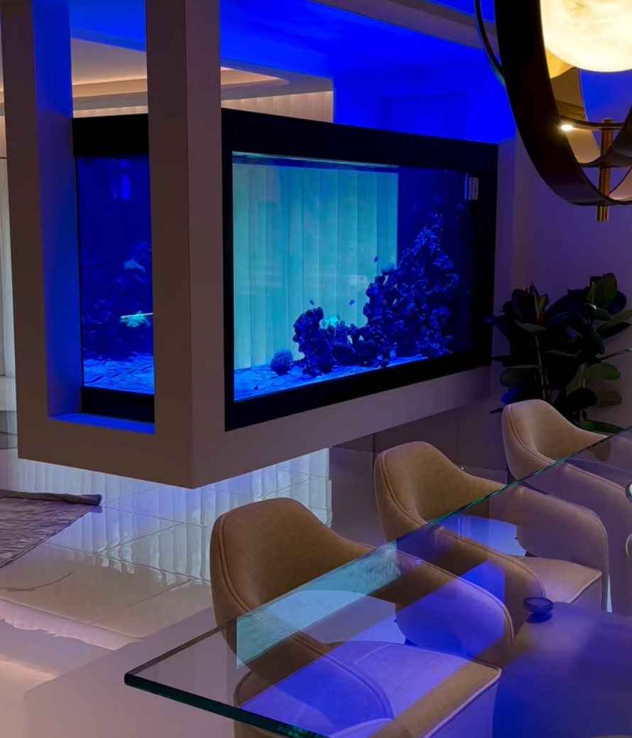 Aquarium design - 2000 litre mixed reef aquarium insulation with remote plant room for the life support system.